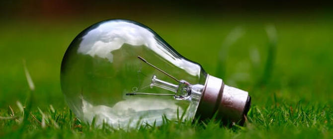Light Bulb On Grass