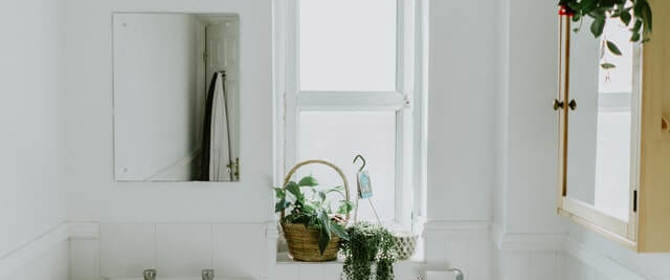 Bathroom With Plants