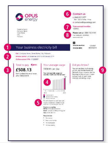 Opus Energy Electricity Bill