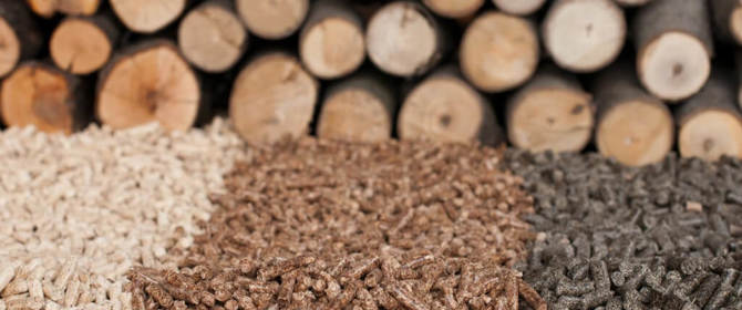 Biomass Renewables
