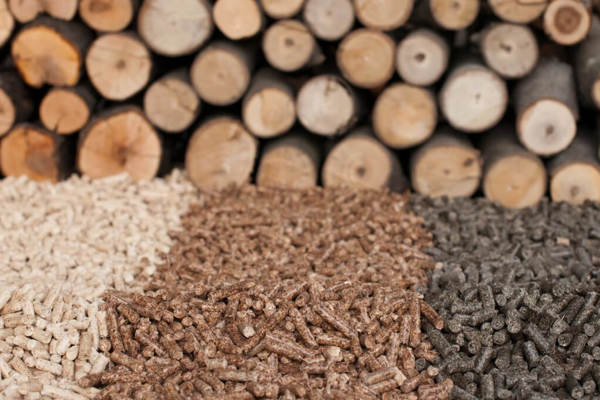 Could a Biomass Boiler Save You Money on Your Energy Bills?
