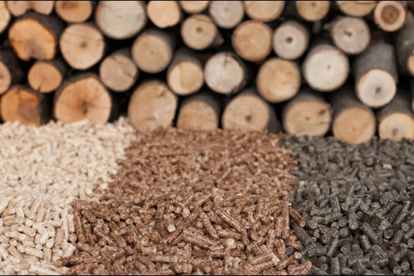 Could a Biomass Boiler Save You Money on Your Energy Bills?