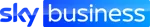sky business logo.