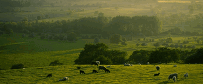Yorkshire