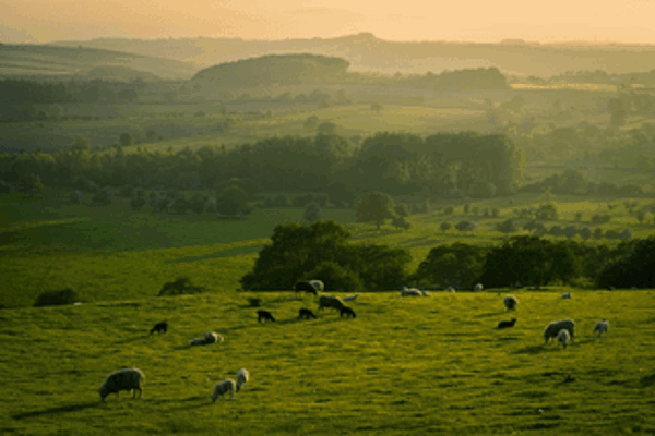 Gas and Electricity Prices in Yorkshire