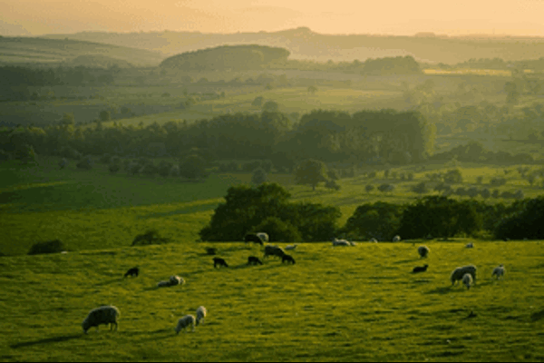 Gas and Electricity Prices in Yorkshire