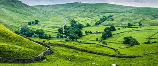Rural Broadband