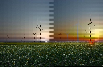 Wind turbines in a field generating green energy.