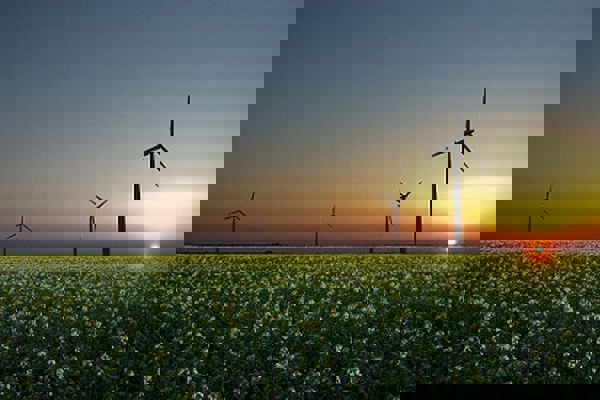 7 green initiatives that will future-proof your business