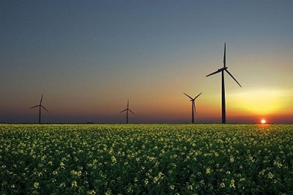 7 green initiatives that will future-proof your business