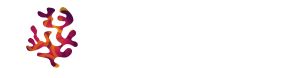 neon reef
